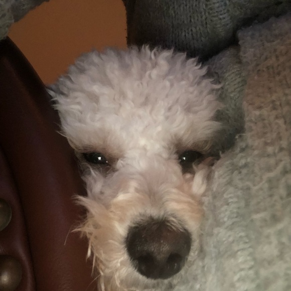 Meet your Posher, Michele - Picture 1 of 1